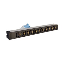 PDU 19"" met IEC 2P+E 16A,12x C13 out met cord locking systeem